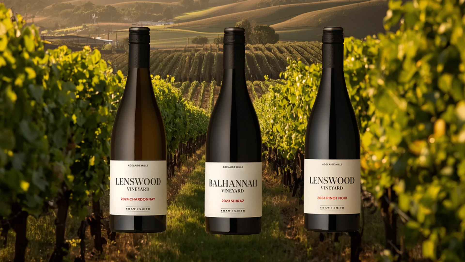 Boutique Wines From Every Corner